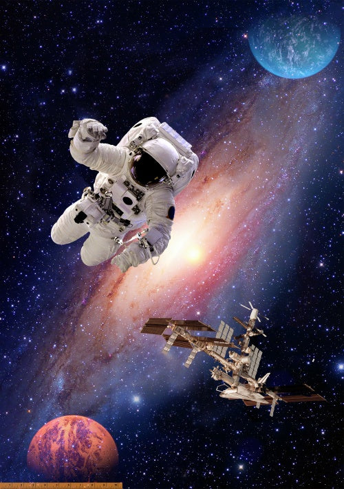 Interstellar - Astronaut/Space Station Panel