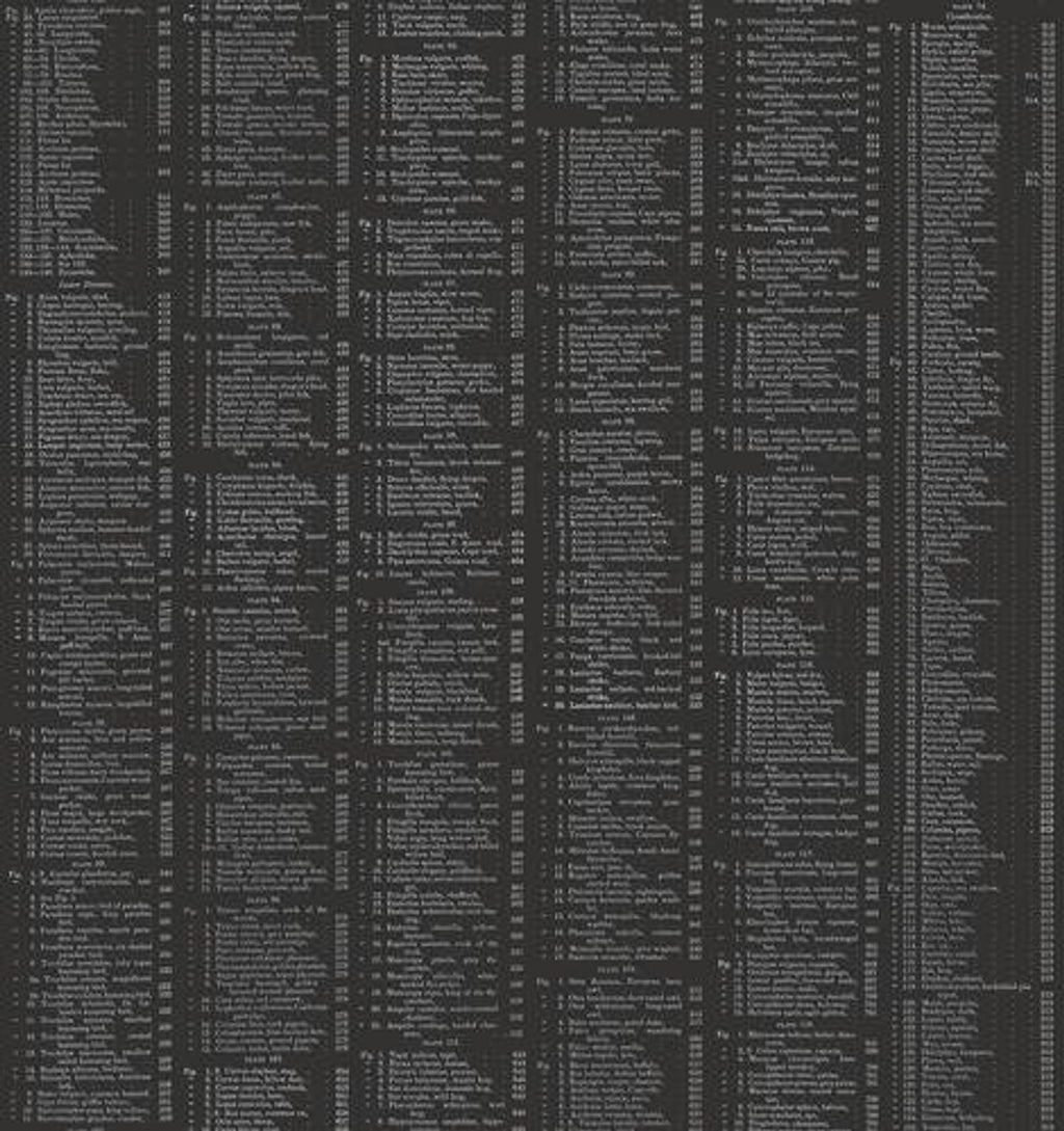 Copy of Encyclopedia Galactica - Table of Contents- Black