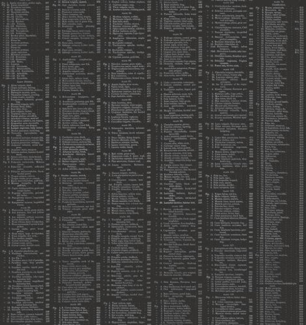 Copy of Encyclopedia Galactica - Table of Contents- Black
